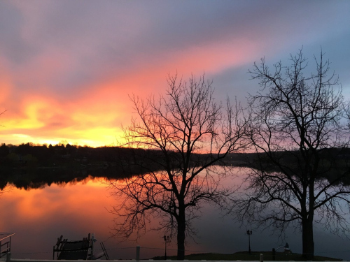 cropped-B3AA5EB4-21BA-4FE1-90E3-C81D9245196F